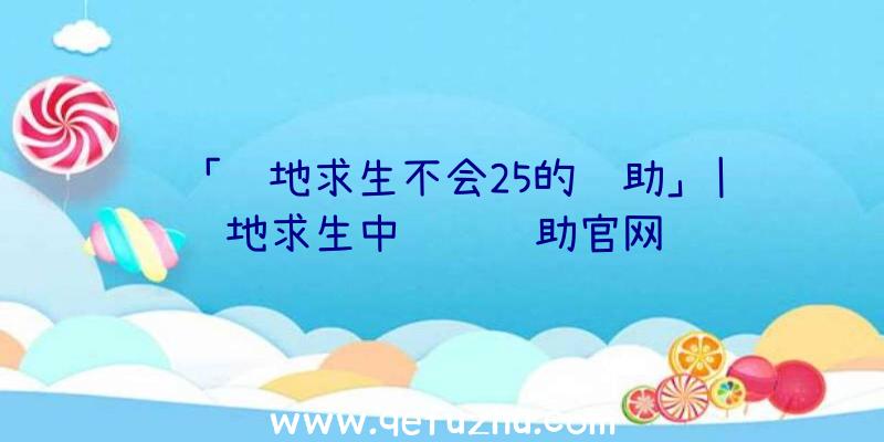 「绝地求生不会25的辅助」|绝地求生中队长辅助官网